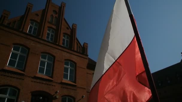 Πολωνική σημαία κοντά που χαιρετάει τον άνεμο — Αρχείο Βίντεο
