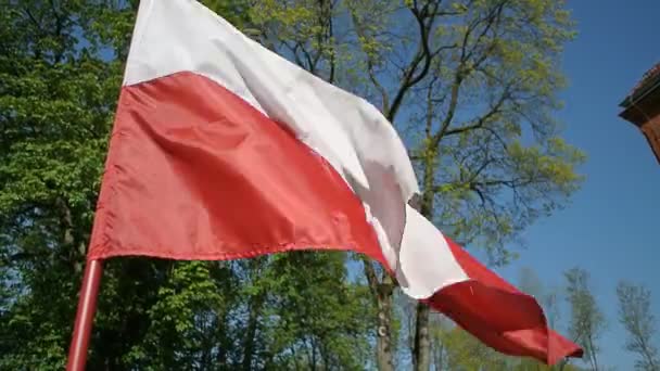 Bandera polaca cerca ondeando en el viento — Vídeo de stock