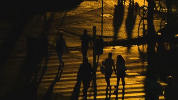 Gente Silueta Multitud Tráfico Carretera Cruzando Largas Sombras Puesta Del — Vídeo de stock