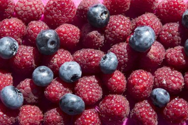 Ahududu ve böğürtlen arka plan