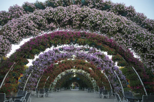 flower arch garden park