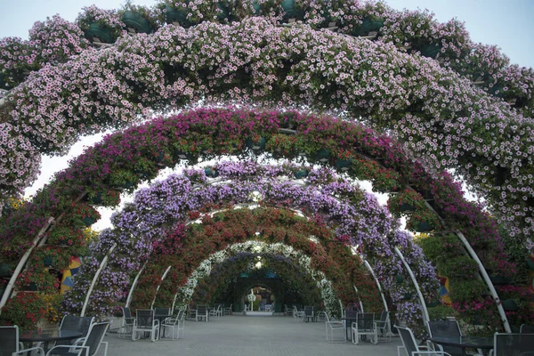 çiçek kemer Bahçe park