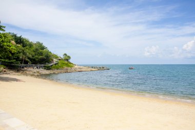 okyanus ve palmiye ağaçlarının manzarası