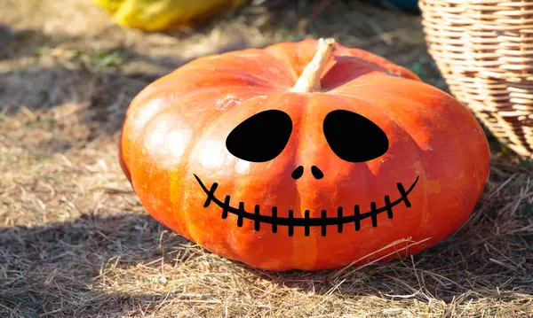 Una Grande Zucca Matura Luminosa Con Una Divertente Faccia Ridente — Foto Stock