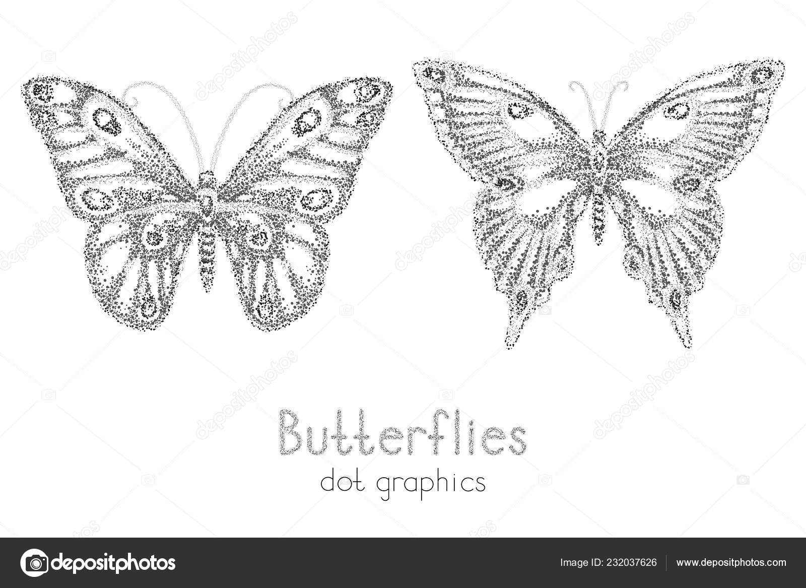 Vector Illustration Two Black Hand Drawn Butterflies White