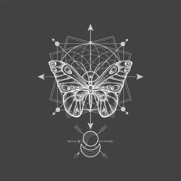 蝶の背景ストックベクター ロイヤリティフリー蝶の背景イラスト Depositphotos