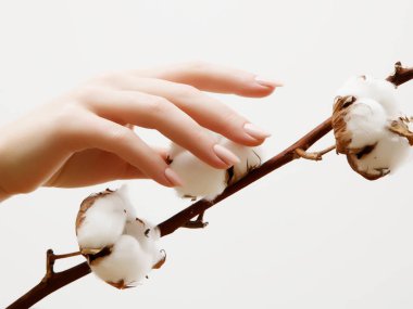 El Cilt Bakımı. Portre resim güzel kadının el ile hafif pembe manikür çivi üzerinde. Eller için krem manikür ve güzellik bakımı. Şık ve zarif eller ince parmaklı.