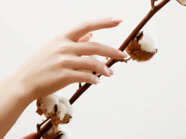 手皮肤护理 特写图像的美丽的女人的手与轻粉红色的指甲指甲 奶油的手 指甲和美容治疗 优雅而优雅的手 纤细的手指 — 图库照片