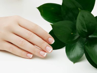 Cilt Bakımı. Manikür ve yeşil yaprakları, üzerinde beyaz izole closeup ile güzel narin elleri. Fotoğraf spa salonu manikür üzerinde bir kadın güzelliğinin el. Profesyonel Fransız manikür.