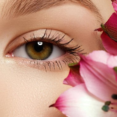 Mavi kadın göz tonları dumanlı gözler makyaj ile güzel brown ile kapatın. Modern moda makyaj. Çıplak makyaj. Temiz cilt, uzun kirpikler