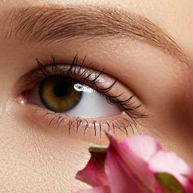 Mavi kadın göz tonları dumanlı gözler makyaj ile güzel brown ile kapatın. Modern moda makyaj. Çıplak makyaj. Temiz cilt, uzun kirpikler