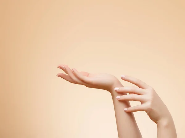 特写图像的美丽的女人的手与轻粉红色的指甲指甲 皮肤护理的手 指甲和美容治疗 优雅而优雅的手 纤细优雅的手指 — 图库照片