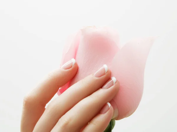 매니큐어 부드러운 분홍색 꽃잎과 손입니다 살롱입니다 치료입니다 프랑스 매니큐어로 손톱을 — 스톡 사진
