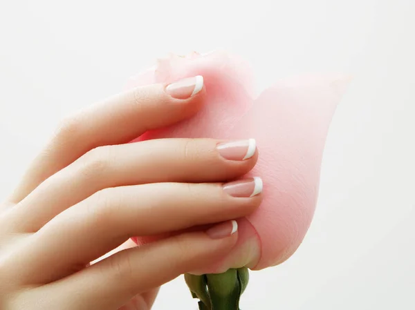 매니큐어 부드러운 분홍색 꽃잎과 손입니다 살롱입니다 치료입니다 프랑스 매니큐어로 손톱을 — 스톡 사진