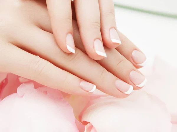 Manicure, Hands spa Beautiful woman hands, soft skin, beautiful nails with pink rose flowers petals. Healthy Woman hands. Beauty salon. Beauty treatment. Female nails with beautiful french manicure