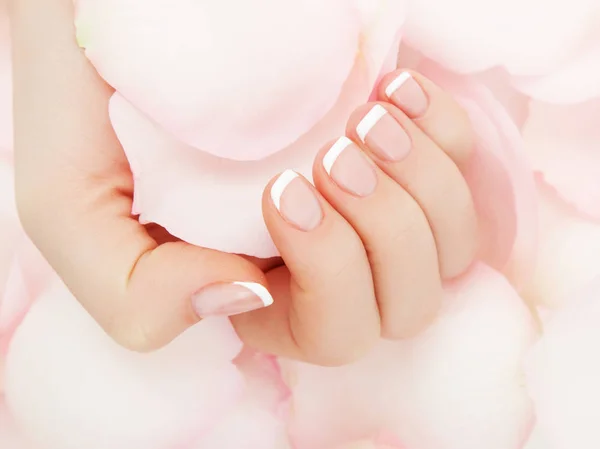 修指甲 手水疗美丽的女人手 柔软的皮肤 美丽的指甲与粉红色的玫瑰花花瓣 健康的女人手 美容院 美容治疗 女性指甲 漂亮的法国指甲 — 图库照片