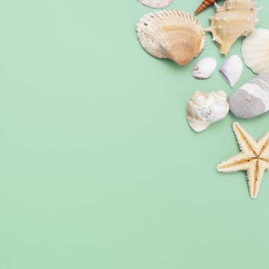 Düz yatıyordu. Üstten görünüm. Çerçeve mavi yeşil bir arka plan üzerinde çeşitli kabukları. Deniz kabuklarını ve denizyıldızı pastel bir arka plan üzerinde. Tatil kavramı