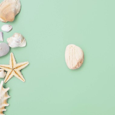 Düz yatıyordu. Üstten görünüm. Çerçeve mavi yeşil bir arka plan üzerinde çeşitli kabukları. Deniz kabuklarını ve denizyıldızı pastel bir arka plan üzerinde. Tatil kavramı