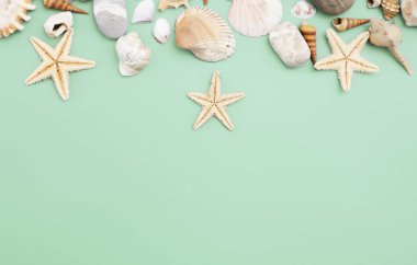 Düz yatıyordu. Üstten görünüm. Çerçeve mavi yeşil bir arka plan üzerinde çeşitli kabukları. Deniz kabuklarını ve denizyıldızı pastel bir arka plan üzerinde. Tatil kavramı