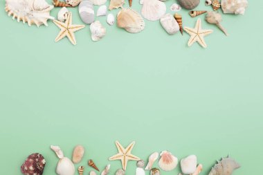 Düz yatıyordu. Üstten görünüm. Çerçeve mavi yeşil bir arka plan üzerinde çeşitli kabukları. Deniz kabuklarını ve denizyıldızı pastel bir arka plan üzerinde. Tatil kavramı