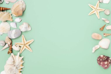 Düz yatıyordu. Üstten görünüm. Çerçeve mavi yeşil bir arka plan üzerinde çeşitli kabukları. Deniz kabuklarını ve denizyıldızı pastel bir arka plan üzerinde. Tatil kavramı