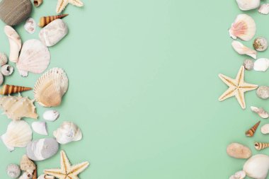 Düz yatıyordu. Üstten görünüm. Çerçeve mavi yeşil bir arka plan üzerinde çeşitli kabukları. Deniz kabuklarını ve denizyıldızı pastel bir arka plan üzerinde. Tatil kavramı