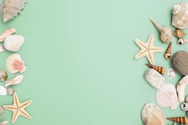 Düz yatıyordu. Üstten görünüm. Çerçeve mavi yeşil bir arka plan üzerinde çeşitli kabukları. Deniz kabuklarını ve denizyıldızı pastel bir arka plan üzerinde. Tatil kavramı