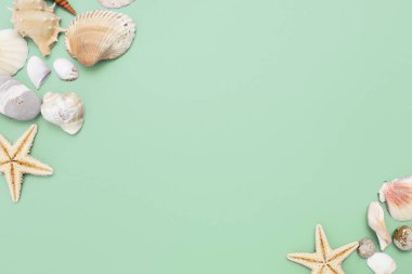 Düz yatıyordu. Üstten görünüm. Çerçeve mavi yeşil bir arka plan üzerinde çeşitli kabukları. Deniz kabuklarını ve denizyıldızı pastel bir arka plan üzerinde. Tatil kavramı