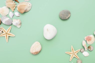 Düz yatıyordu. Üstten görünüm. Çerçeve mavi yeşil bir arka plan üzerinde çeşitli kabukları. Deniz kabuklarını ve denizyıldızı pastel bir arka plan üzerinde. Tatil kavramı