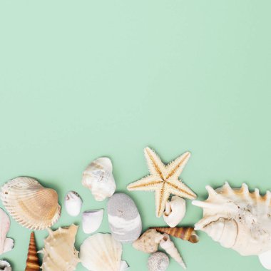 Düz yatıyordu. Üstten görünüm. Çerçeve mavi yeşil bir arka plan üzerinde çeşitli kabukları. Deniz kabuklarını ve denizyıldızı pastel bir arka plan üzerinde. Tatil kavramı