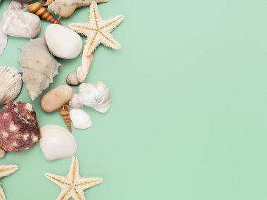 Düz yatıyordu. Üstten görünüm. Çerçeve mavi yeşil bir arka plan üzerinde çeşitli kabukları. Deniz kabuklarını ve denizyıldızı pastel bir arka plan üzerinde. Tatil kavramı