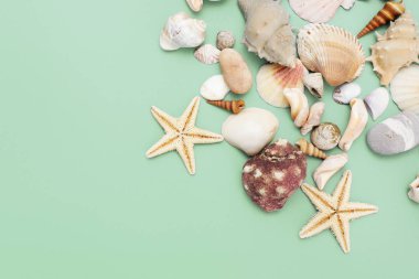 Düz yatıyordu. Üstten görünüm. Çerçeve mavi yeşil bir arka plan üzerinde çeşitli kabukları. Deniz kabuklarını ve denizyıldızı pastel bir arka plan üzerinde. Tatil kavramı