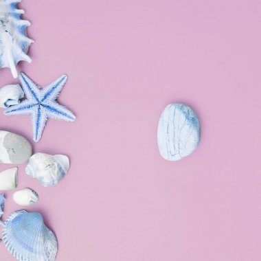 Egzotik deniz kabuklarını, istiridye, deniz yıldızı ve limon dilimleri Beyaz ahşap zemin üzerinde bileşimi. Tropikal yaz tatil veya deniz gıda kavramı. Düz yatıyordu, en iyi görünüm. Deniz tasarım.