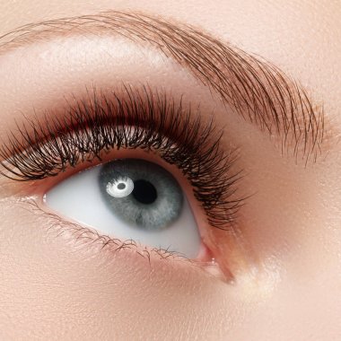 Mavi kadın göz tonları dumanlı gözler makyaj ile güzel brown ile kapatın. Modern moda makyaj. Çıplak makyaj. Temiz cilt, uzun kirpikler