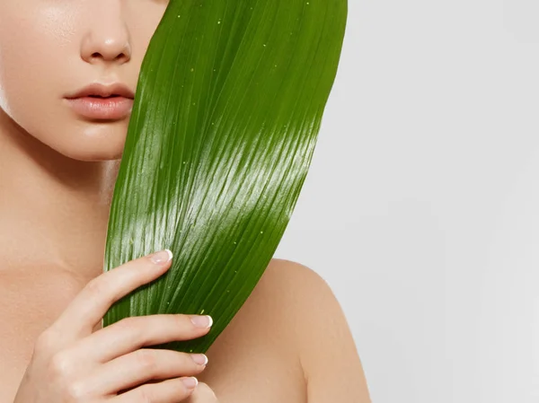Skincare, Wellness, Spa. Clean soft Skin, healthy Fresh look. The concept of a healthy skin. Portrait of a beautiful girl against a background of tropical leaves. Spa concept. Natural beauty — Stock Photo, Image