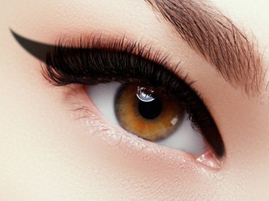 Göz Makyajı. Moda gözleri visage Closeup makro çekim. Siyah tonları dumanlı gözleri makyaj ile güzel kahverengi ile kadın göz yakın . Modern moda makyaj .