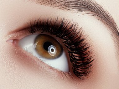 Göz Makyajı. Moda gözleri visage Closeup makro çekim. Siyah tonları dumanlı gözleri makyaj ile güzel kahverengi ile kadın göz yakın . Modern moda makyaj .