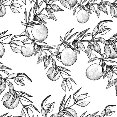 grafik çizim. Erik dalları, siyah çizgiler desen