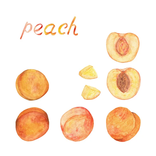 watercolor drawing, peach, half, piece.