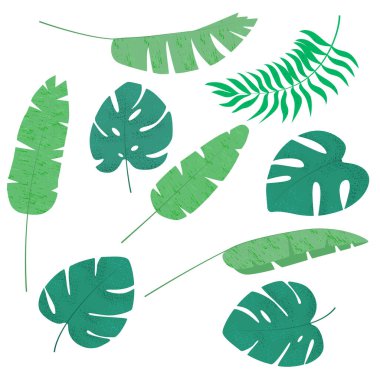 Tropikal yapraklar ve yaz koleksiyonuyla dolu..
