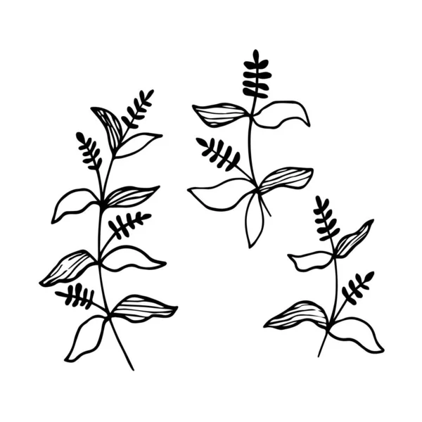 Set van eenvoudige bloemen, gras, twijgen. — Stockvector