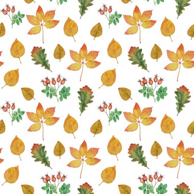 Sonbahar yaprakları ve gül ağacı dallarıyla kusursuz bir desen. Tekstil ve dekor için suluboya çizimi