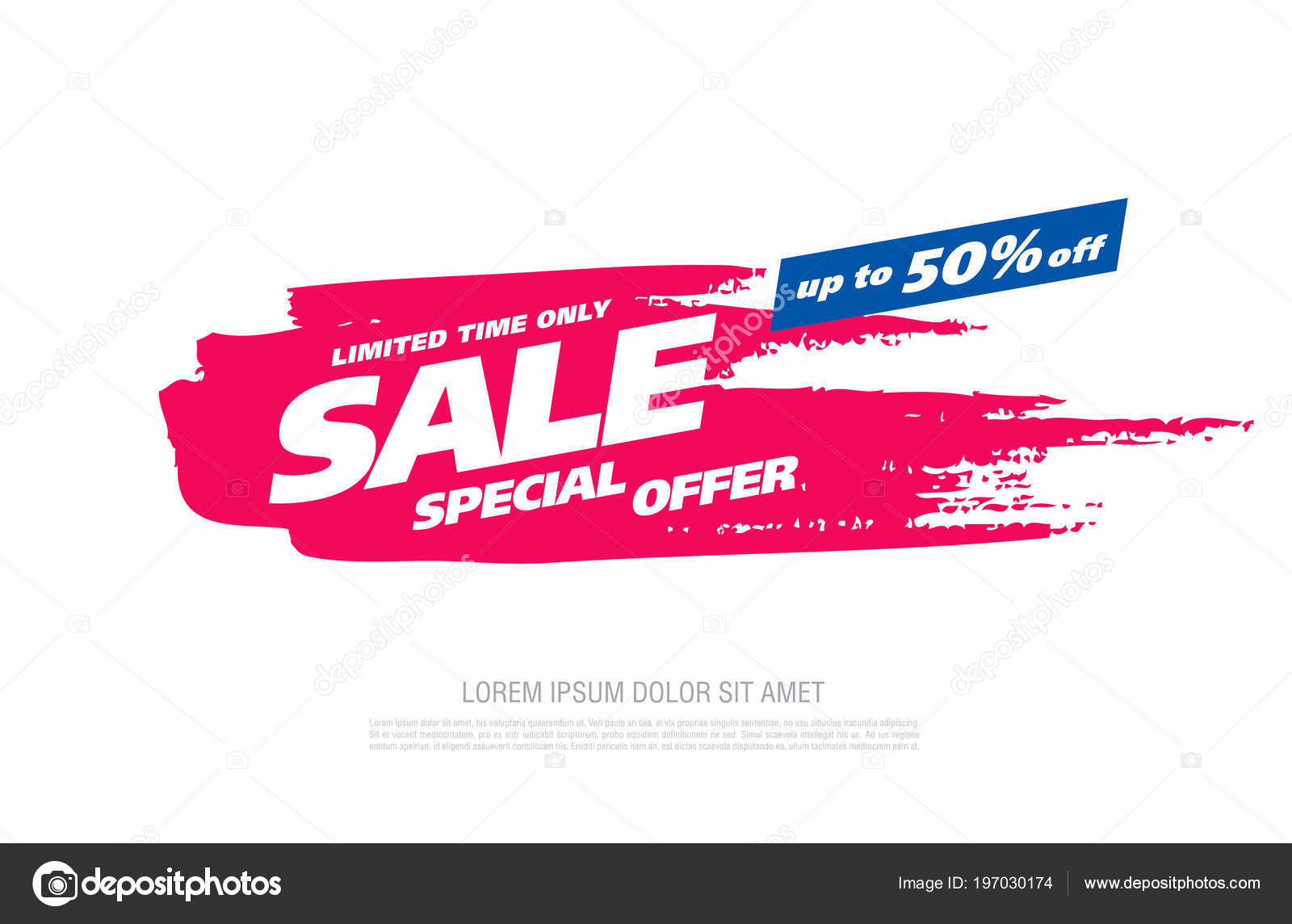 Limited time only one day special offer discount Vector Image