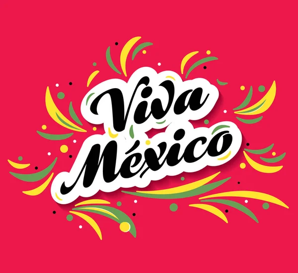 Mexican Vector Banner Layout Design Viva Mexico — Stock Vector