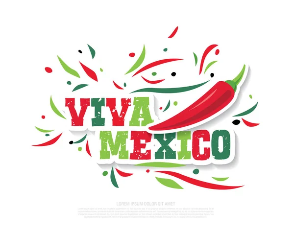 Mexican Vector Banner Layout Design Viva Mexico — Stock Vector
