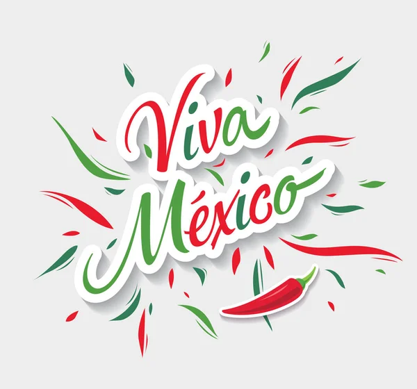 Meksika Vektör Afiş Düzeni Tasarımı Viva Meksika — Stok Vektör