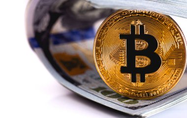 bir bitcoin ve dolar