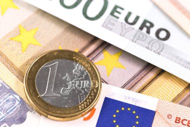 Banknotlarla bir euro sikke