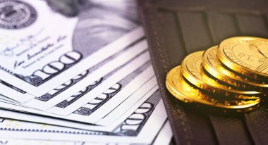 metal sikkeler, cüzdan ile dolar yüz banknotlar