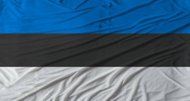 Estonya bayrağını dalgalandırın. Kumaş desenli Estonya bayrağı